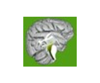 Logo Brainstem Imaging Lab